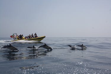 Наблюдающий за дельфинами и пещерами круиз на борту “Инсонии”